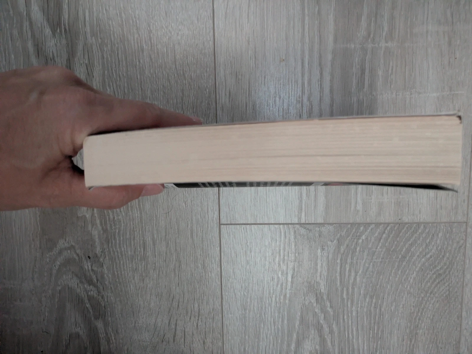 Libro de Linwood Barclay de origen desconocido – photo 3